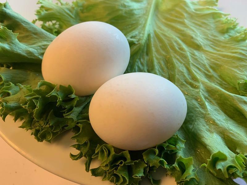 Two Eggs
